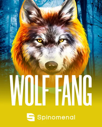 Casino-Spiel bei Zoccer